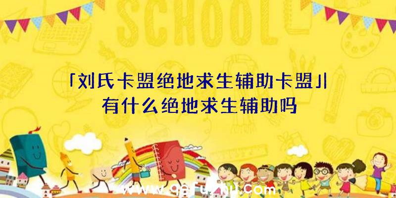 「刘氏卡盟绝地求生辅助卡盟」|有什么绝地求生辅助吗